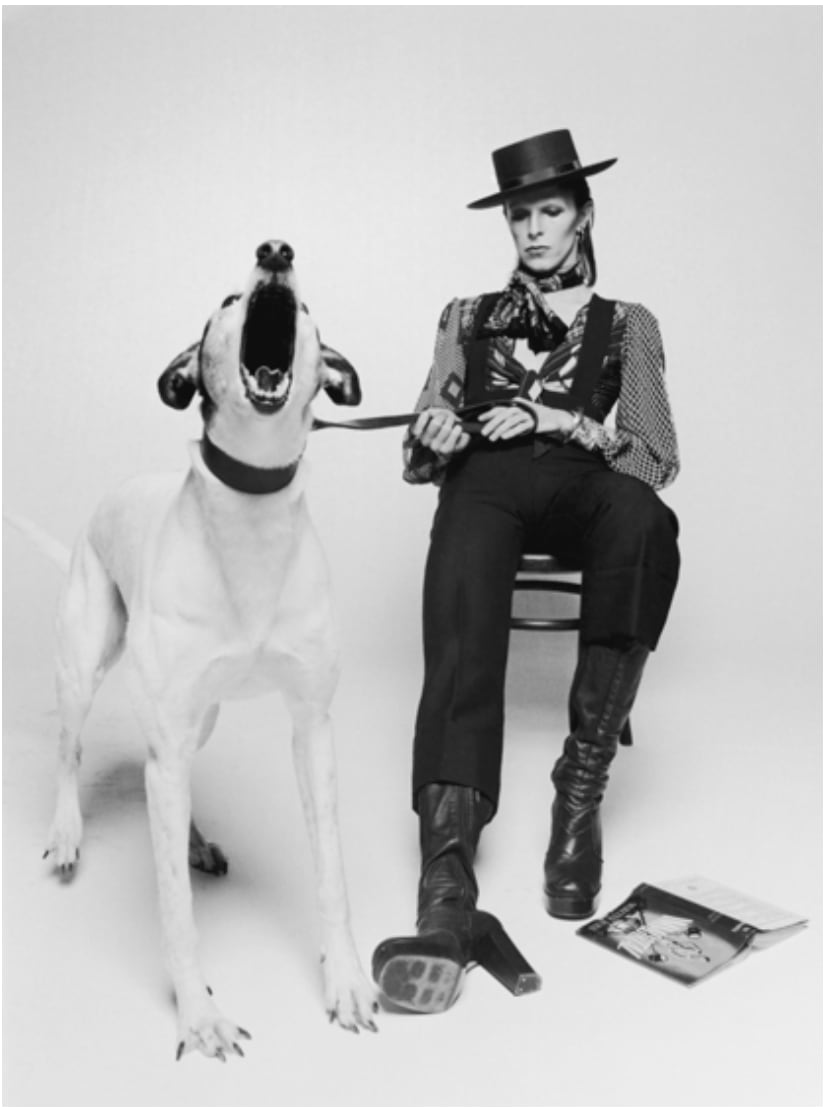 Terry O'Neill, David Bowie With Jumping Dog View II, 1974