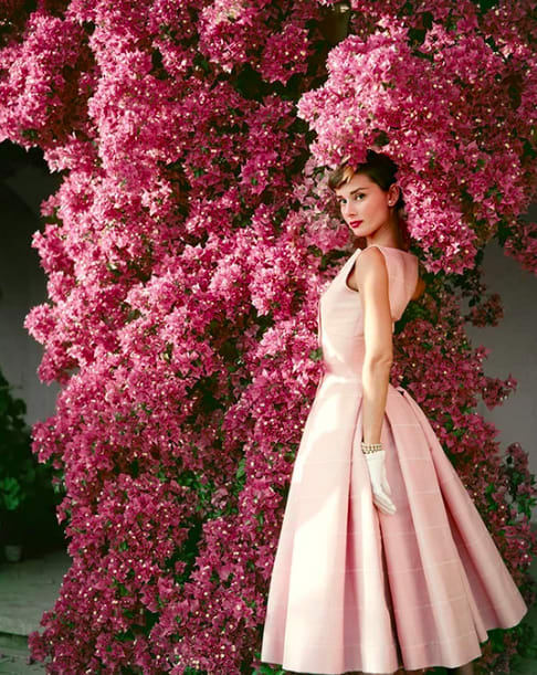 Norman Parkinson, Audrey Hepburn II, 1955