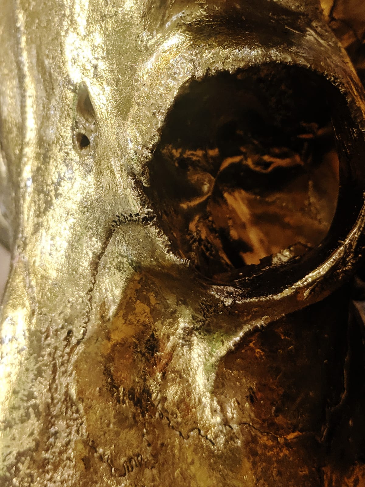 ANGELA MORRIS-WINMILL, All Gold Scottish Ram - Actual Skull