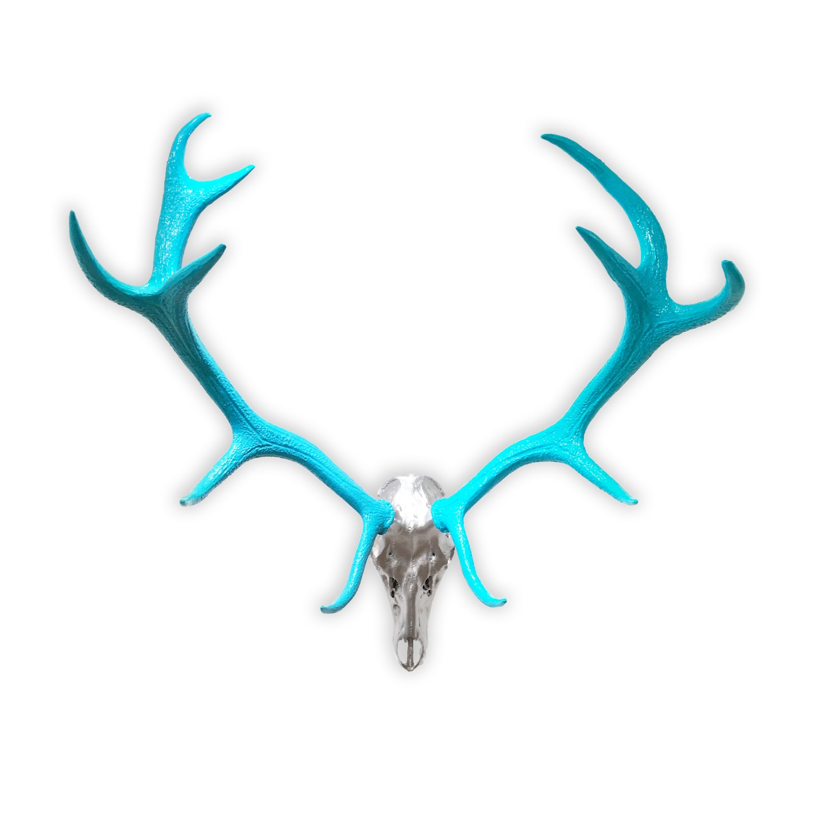 ANGELA MORRIS-WINMILL, Red Deer - Actual Skull