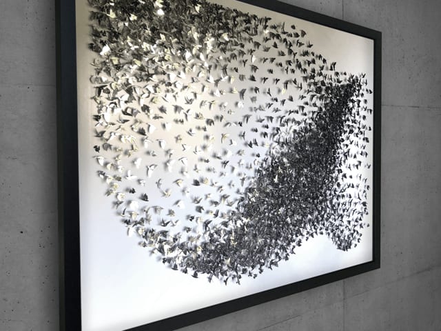 DANIEL BYRNE, RISE AND FALL