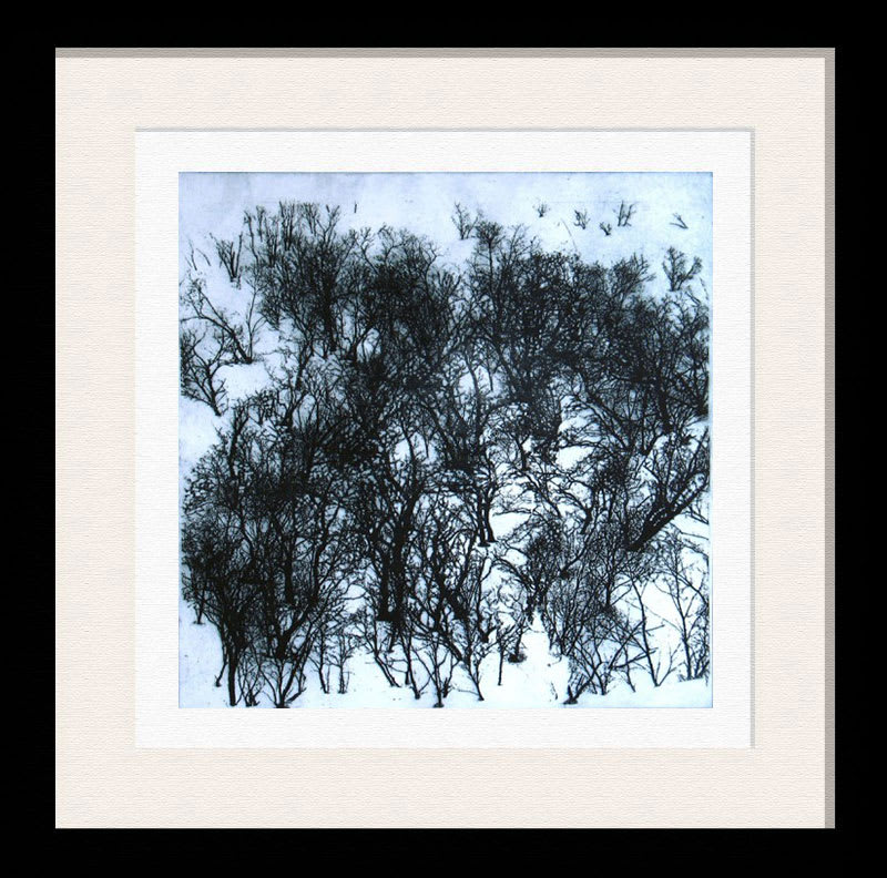 SUSIE PERRING, ENCHANTED FOREST