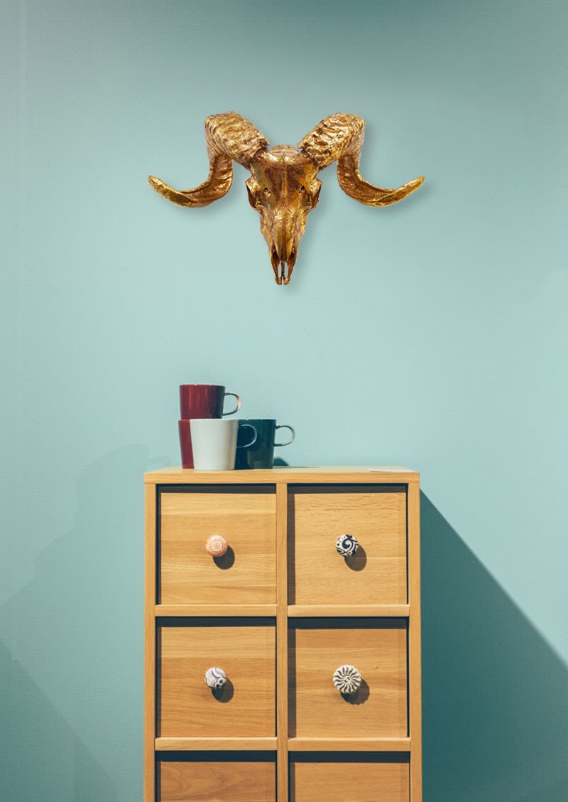 ANGELA MORRIS-WINMILL, All Gold Scottish Ram - Actual Skull