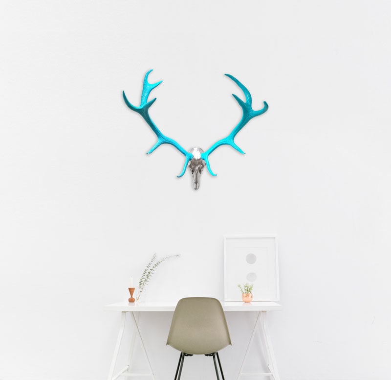 ANGELA MORRIS-WINMILL, Red Deer - Actual Skull