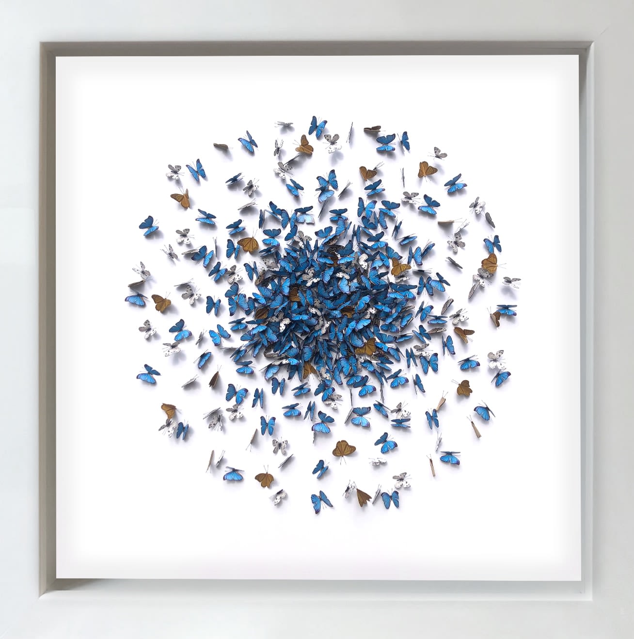 DANIEL BYRNE, BLUE KALEIDOSCOPE