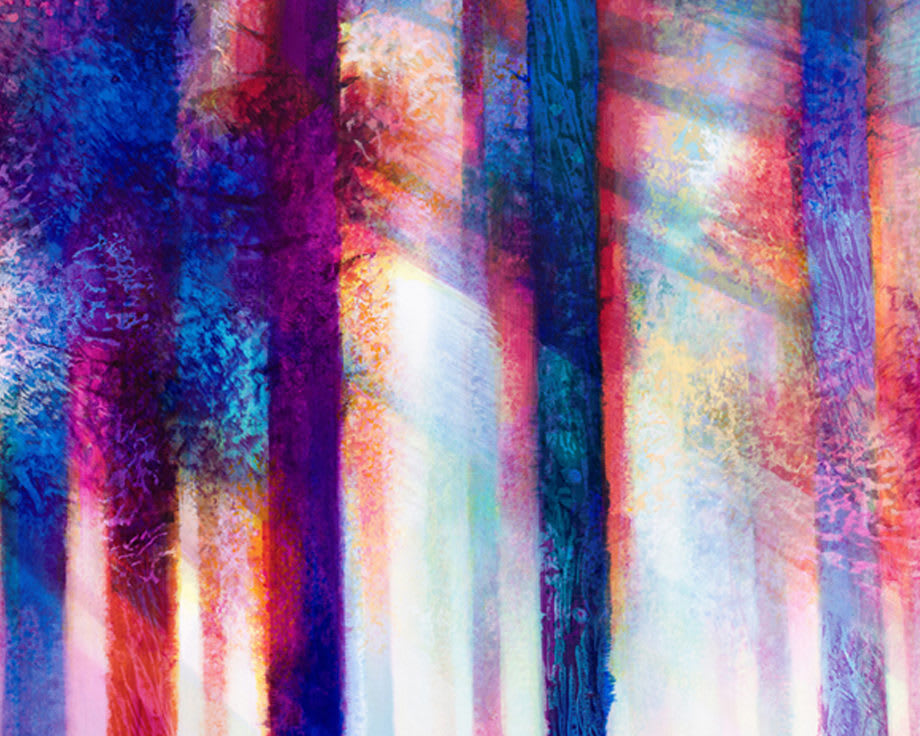 NICK VIVIAN, Misty Woods