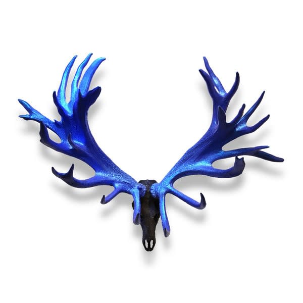 Red Deer Skull
