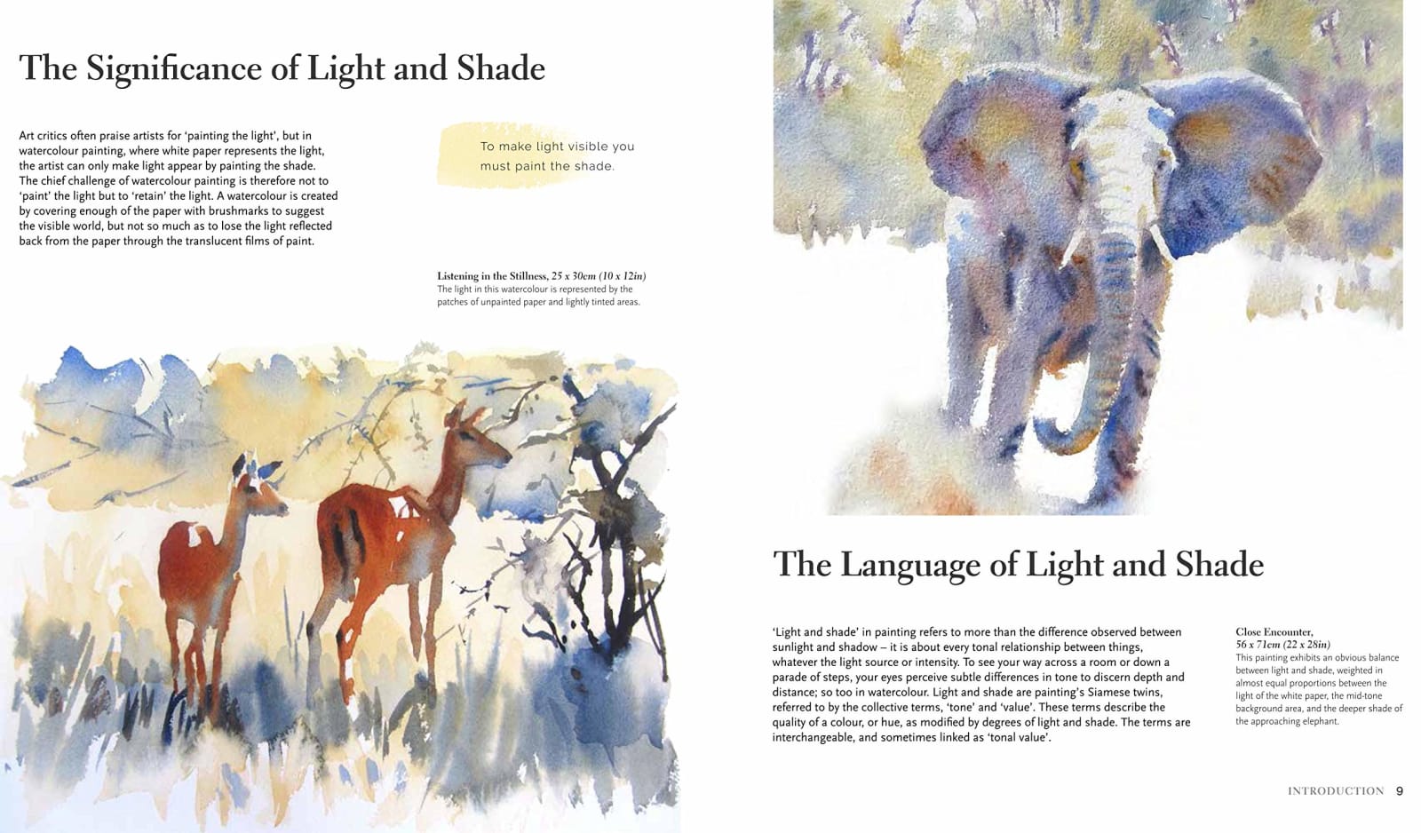 HAZEL SOAN, A Book - Light and Shade in Watercolour
