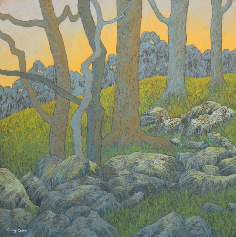 AT THE EDGE OF THE FOREST