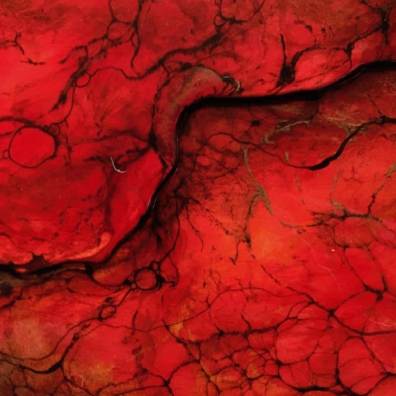 KERRY DARLINGTON, KOHALA ABSTRACT