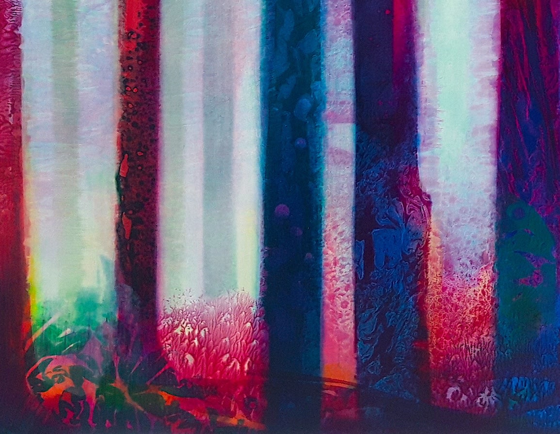 NICK VIVIAN, BRILLIANT FOREST