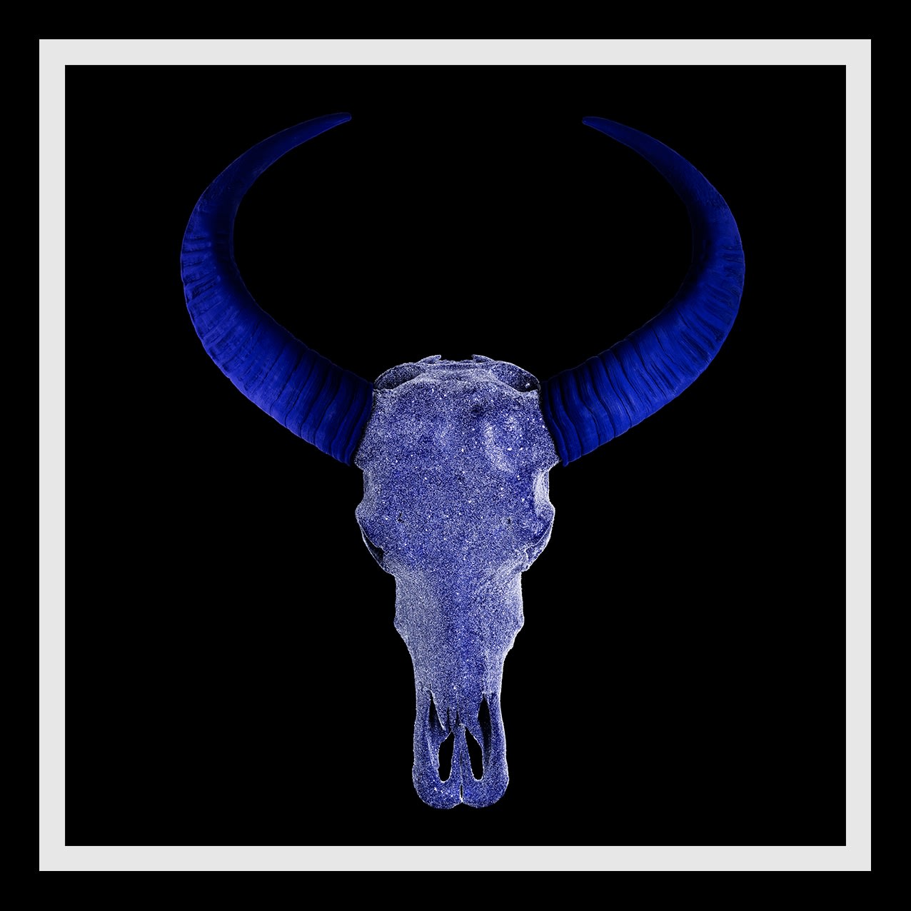 ANGELA MORRIS-WINMILL, All Indigo on Black - Large