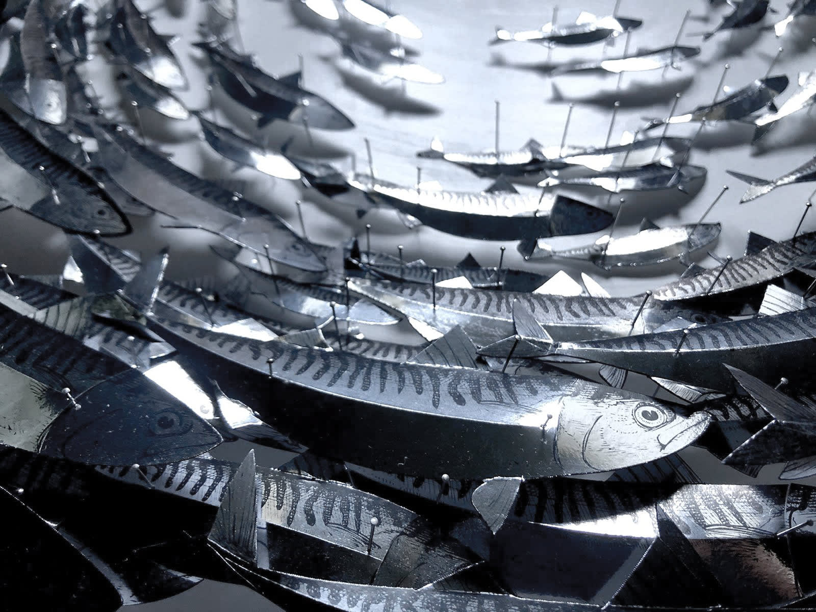 DANIEL BYRNE, Vortex