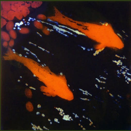 SUSIE PERRING, MIDNIGHT SWIM II