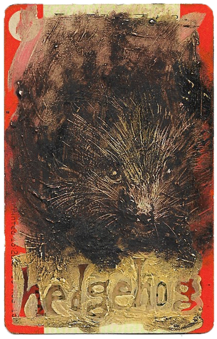NAOMI FRANCES, HEDGEHOG