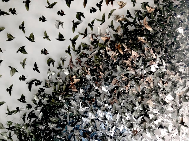 DANIEL BYRNE, RISE AND FALL
