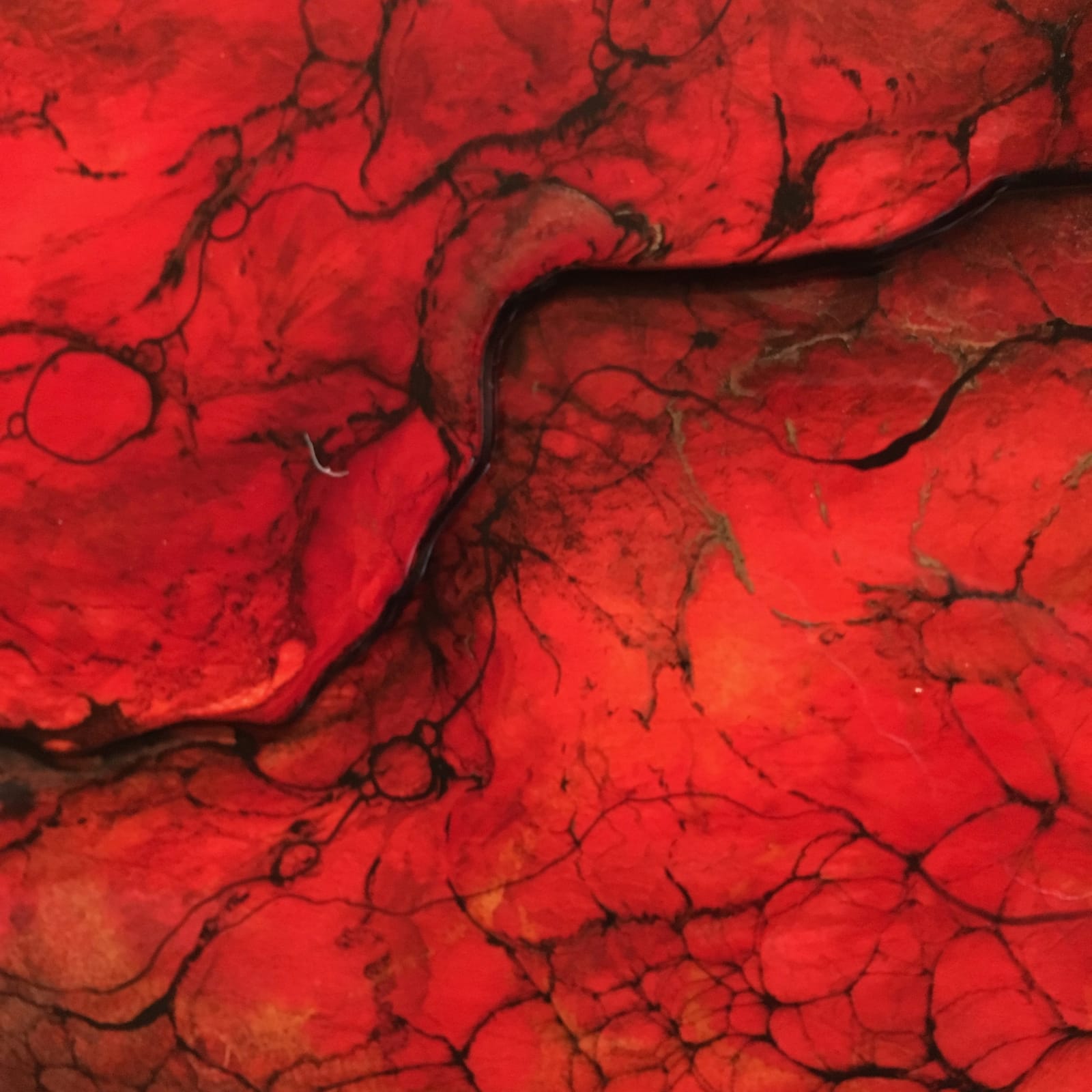 KERRY DARLINGTON, KOHALA ABSTRACT