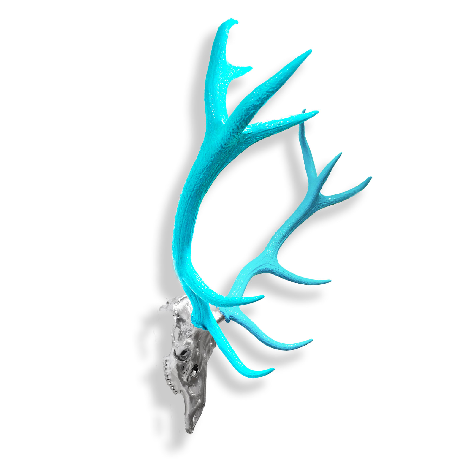 ANGELA MORRIS-WINMILL, Red Deer - Actual Skull