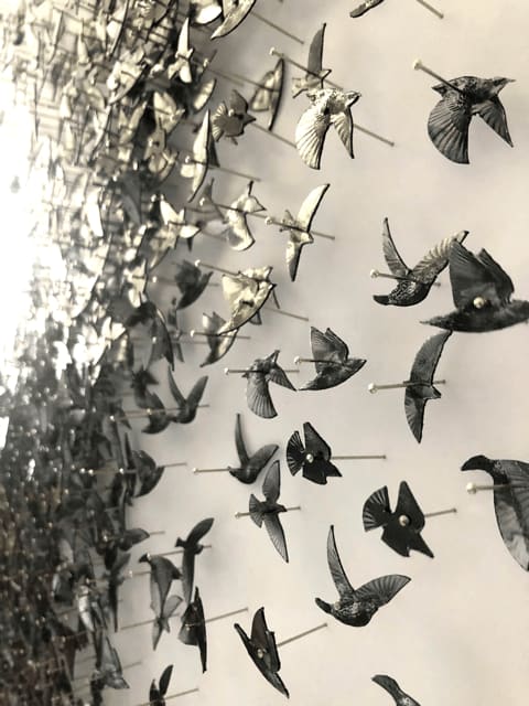 DANIEL BYRNE, RISE AND FALL