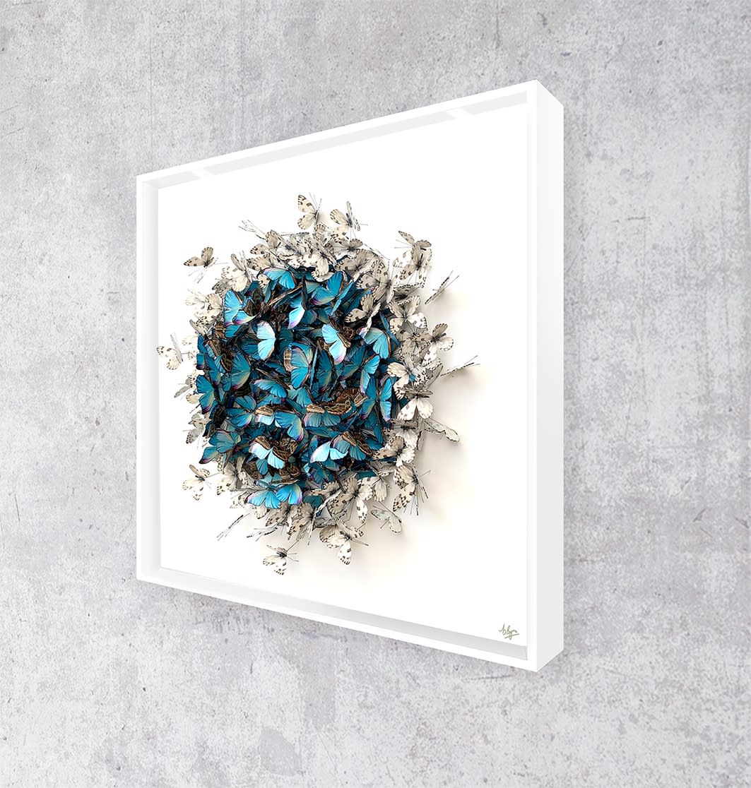 DANIEL BYRNE, Cluster in Chequered and Morpho