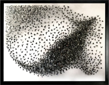 DANIEL BYRNE, RISE AND FALL