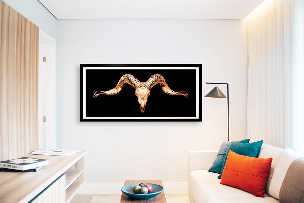 ANGELA MORRIS-WINMILL, Tibetan Ram Gold on Black - Large
