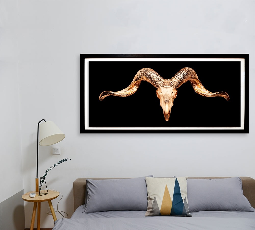ANGELA MORRIS-WINMILL, Tibetan Ram Gold on Black - Large