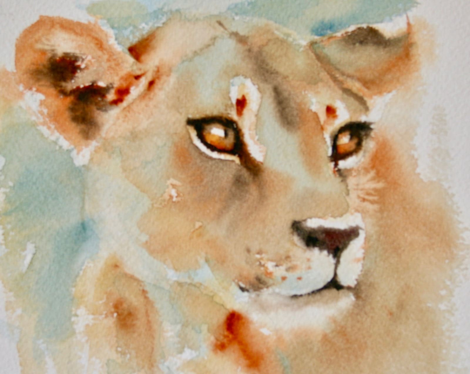 HAZEL SOAN, EYES OF THE WILD