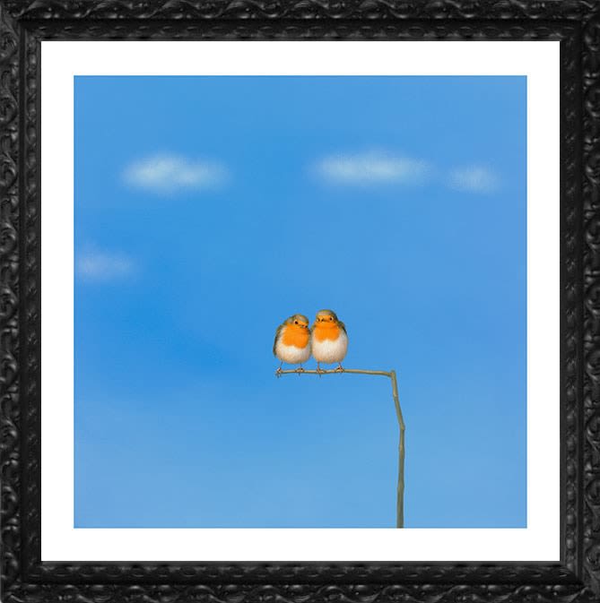 LILIA MAZURKEVICH, PEAS IN A POD