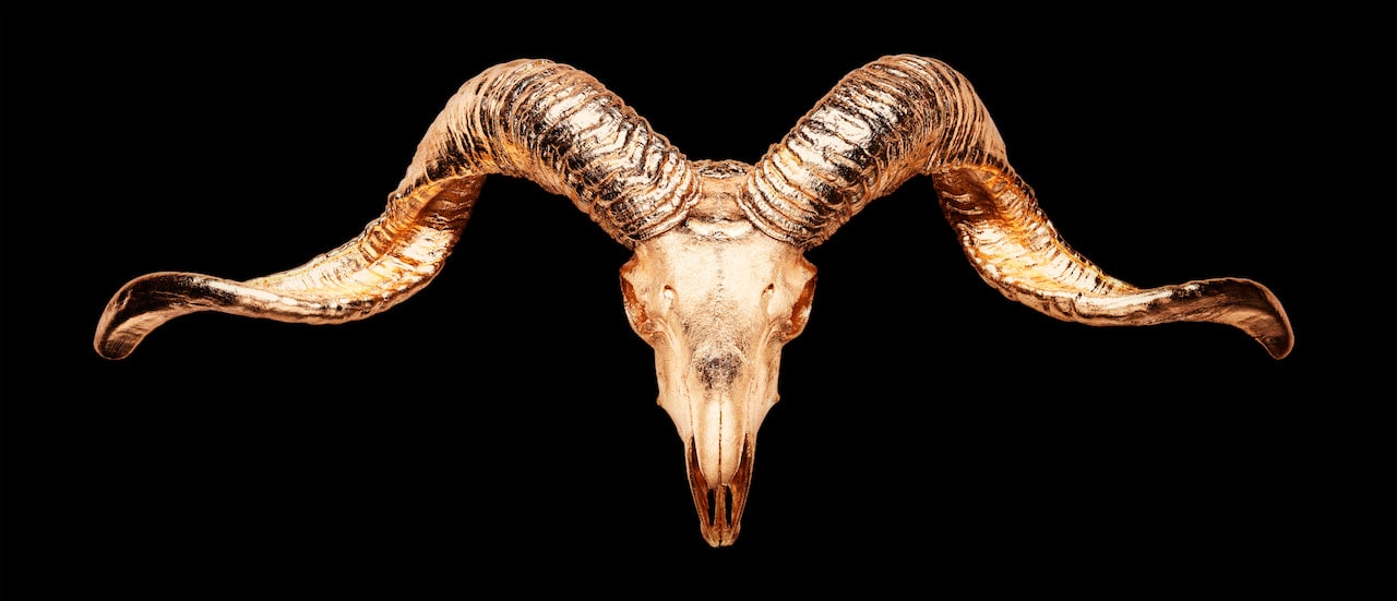 ANGELA MORRIS-WINMILL, Tibetan Ram Gold on Black - Large