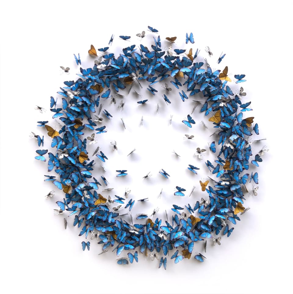DANIEL BYRNE, Band Of Blue