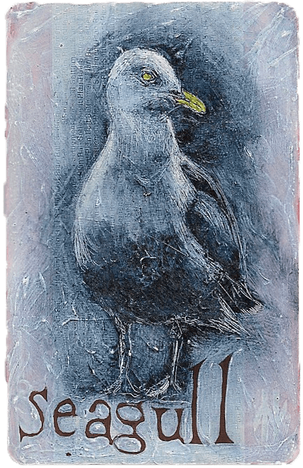 NAOMI FRANCES, SEA GULL II