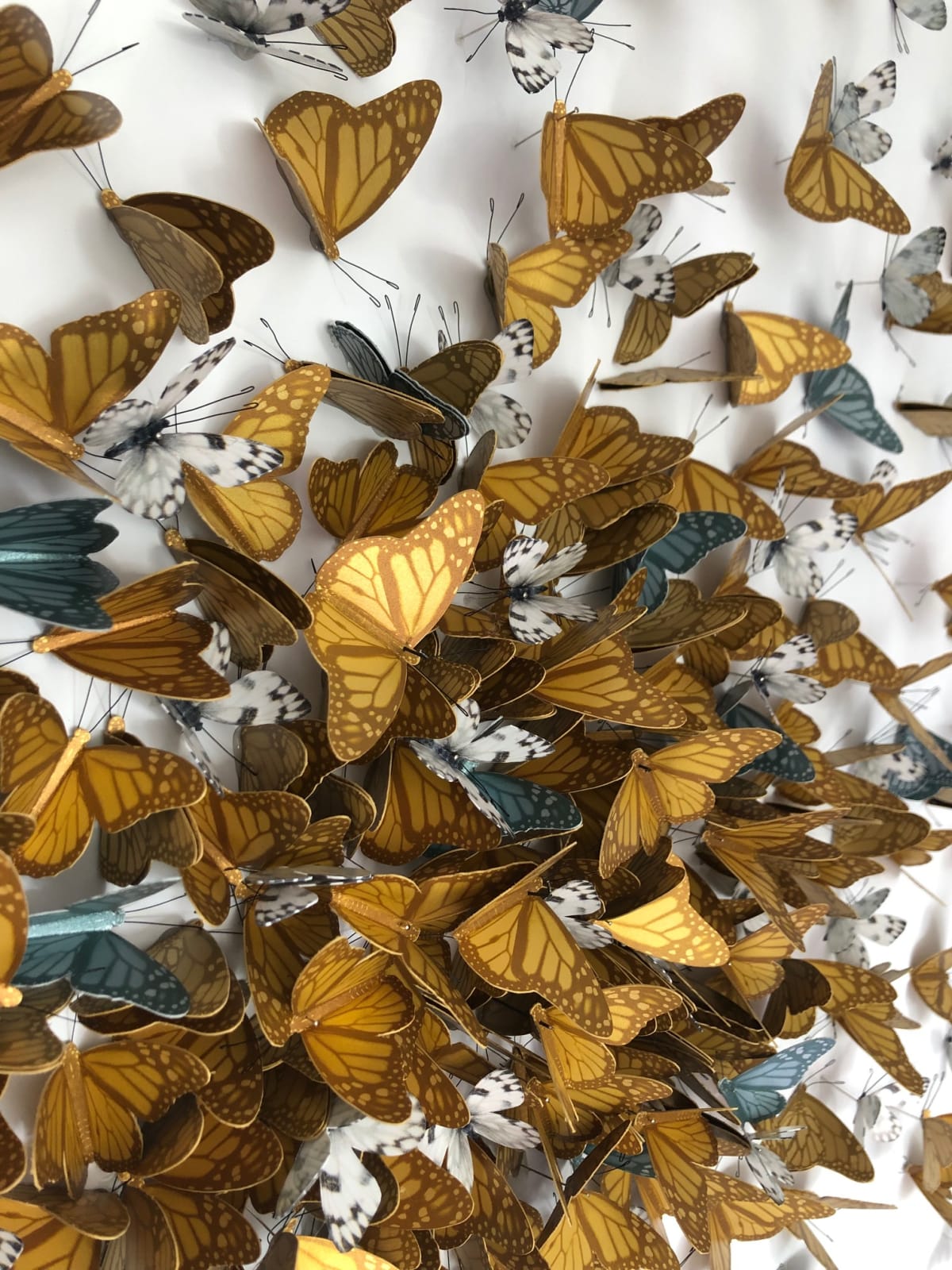 DANIEL BYRNE, GOLDEN KALEIDOSCOPE