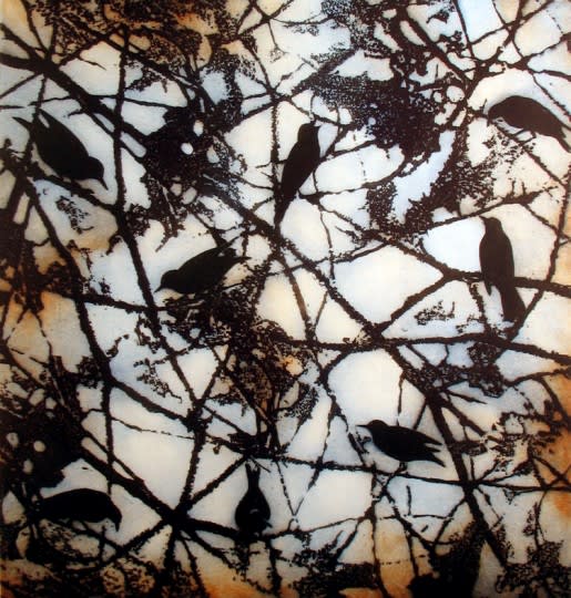 SUSIE PERRING, DAWN CHORUS