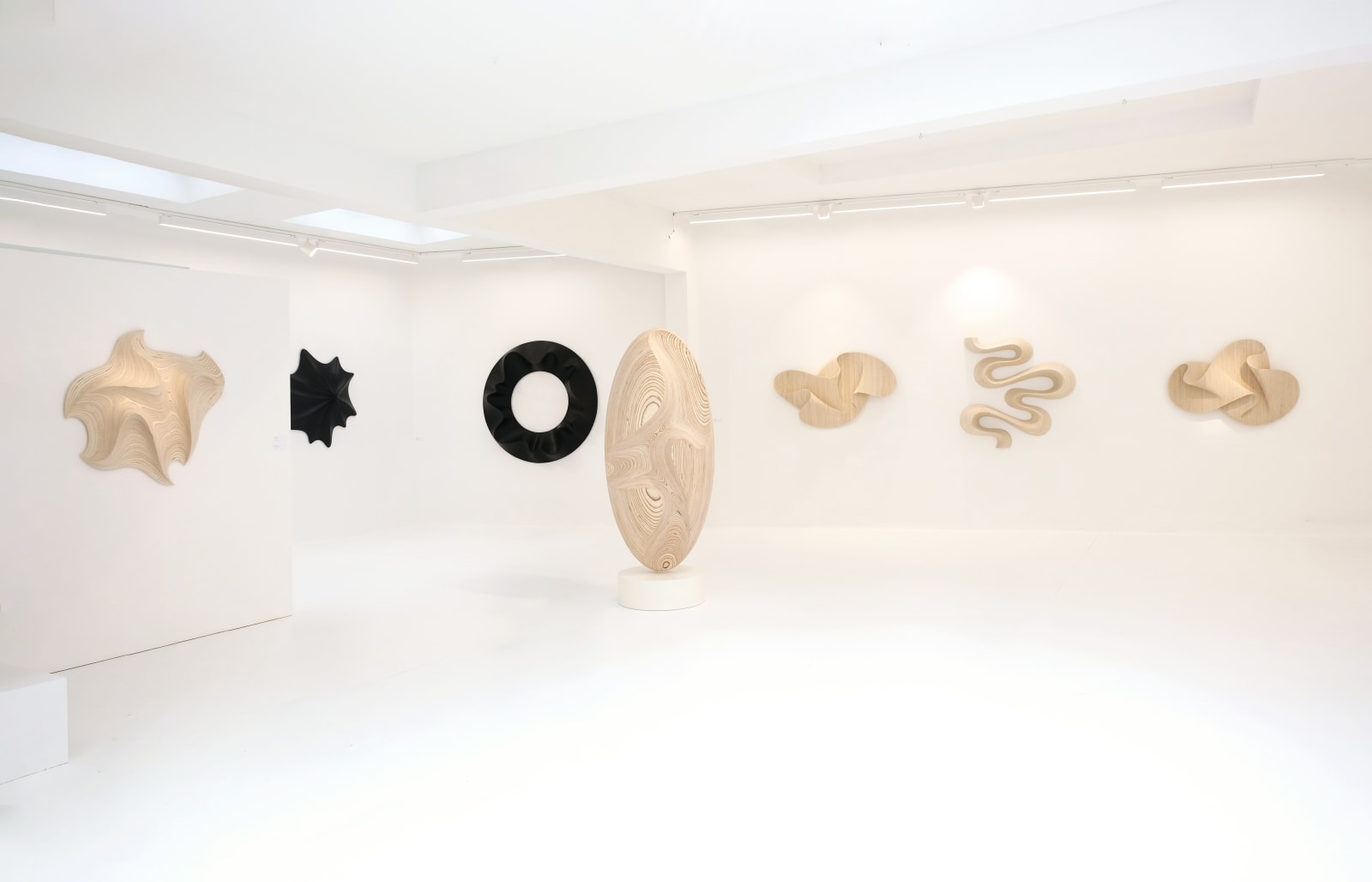 Daniel Mirchev, Invisible Reflection