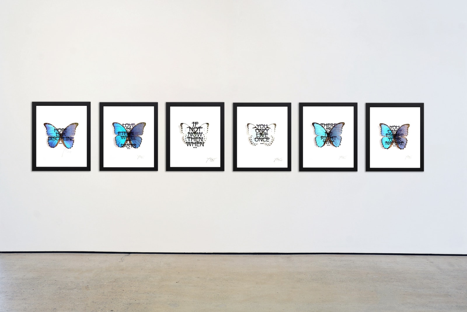 RERO, Text Based Butterflies, 2025