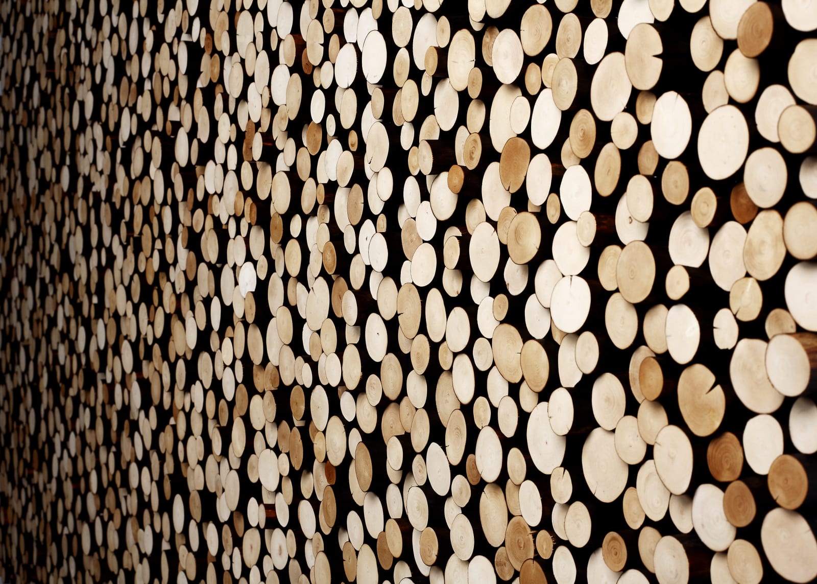 Jaehyo Lee, 0121-110=112092, 2025