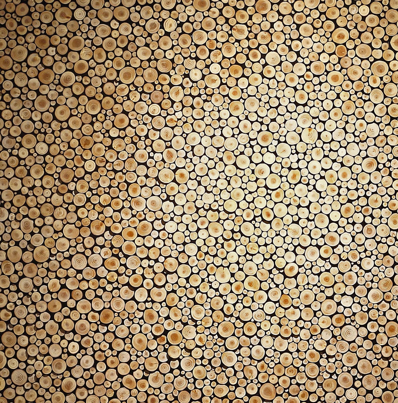 Jaehyo Lee, 0121-1110=116098, 2025