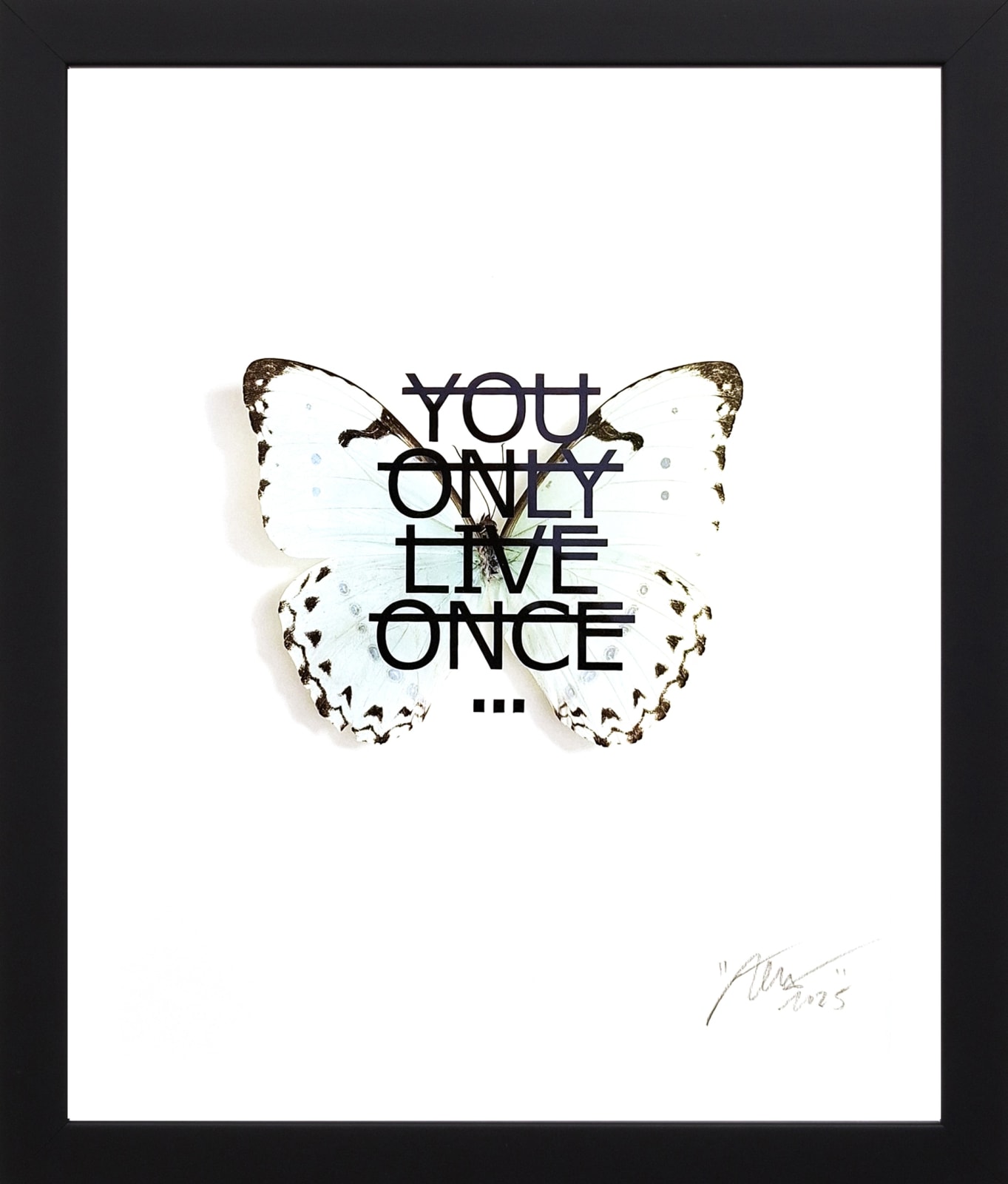 RERO, Text Based Butterflies, 2025