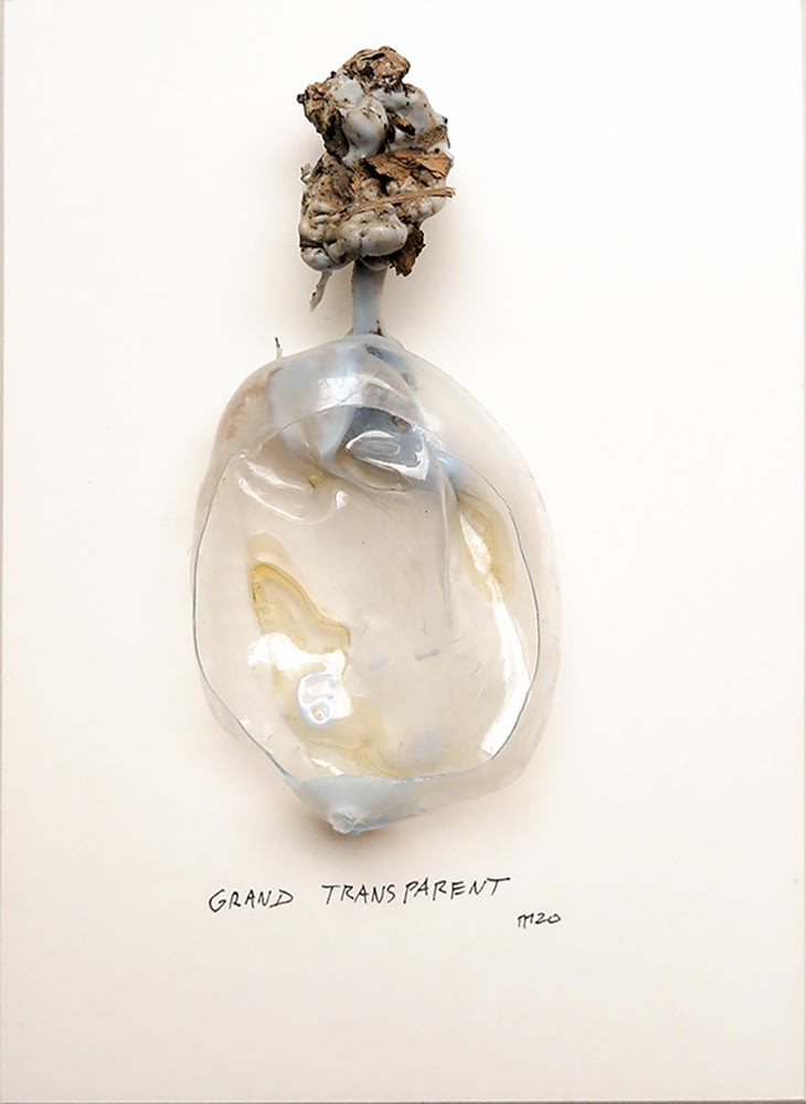 Marcel Miracle, Grand transparent, 2020