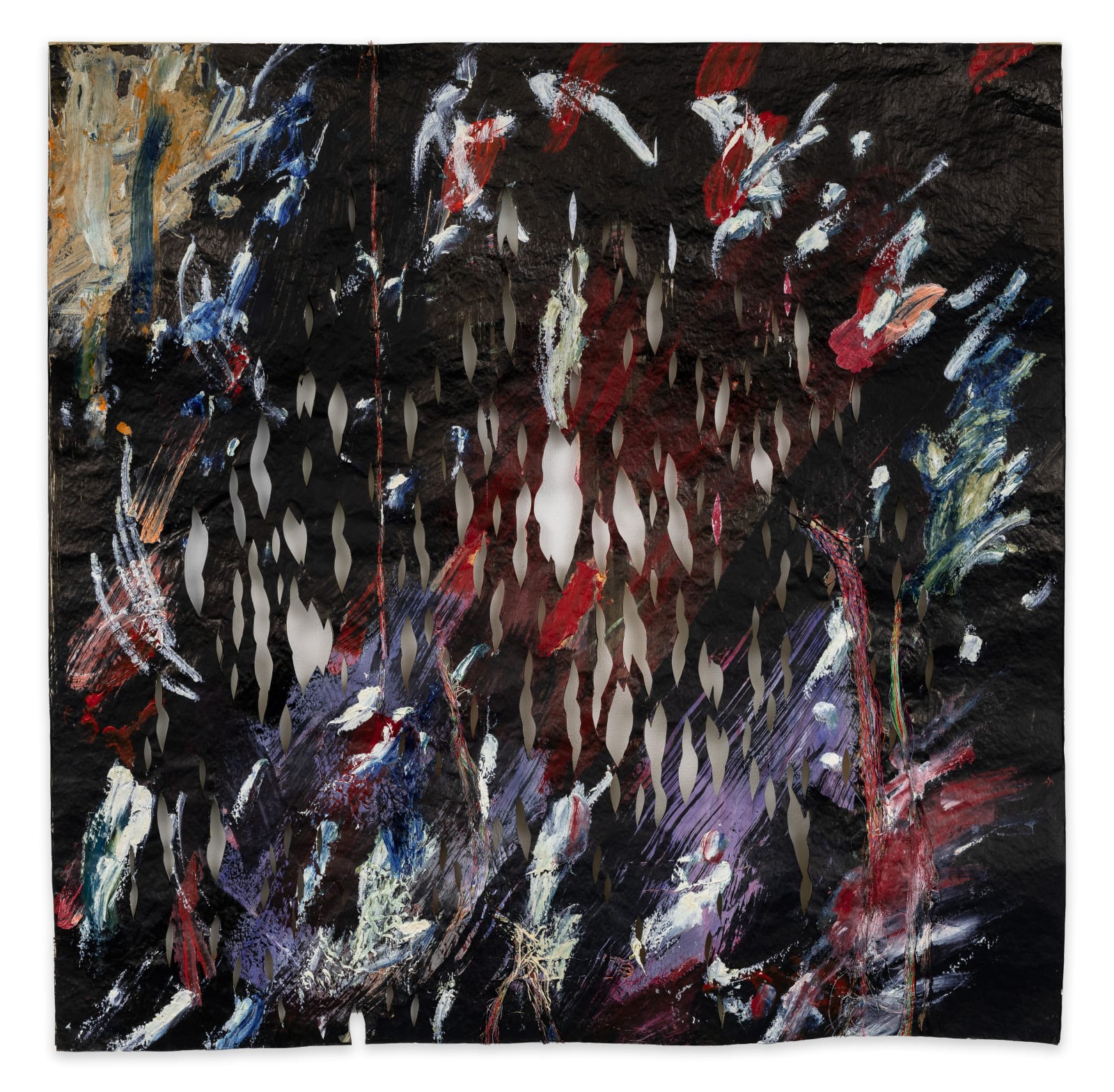 Wura-Natasha Ogunji, The black of space comma space comma space as told by herself, 2024