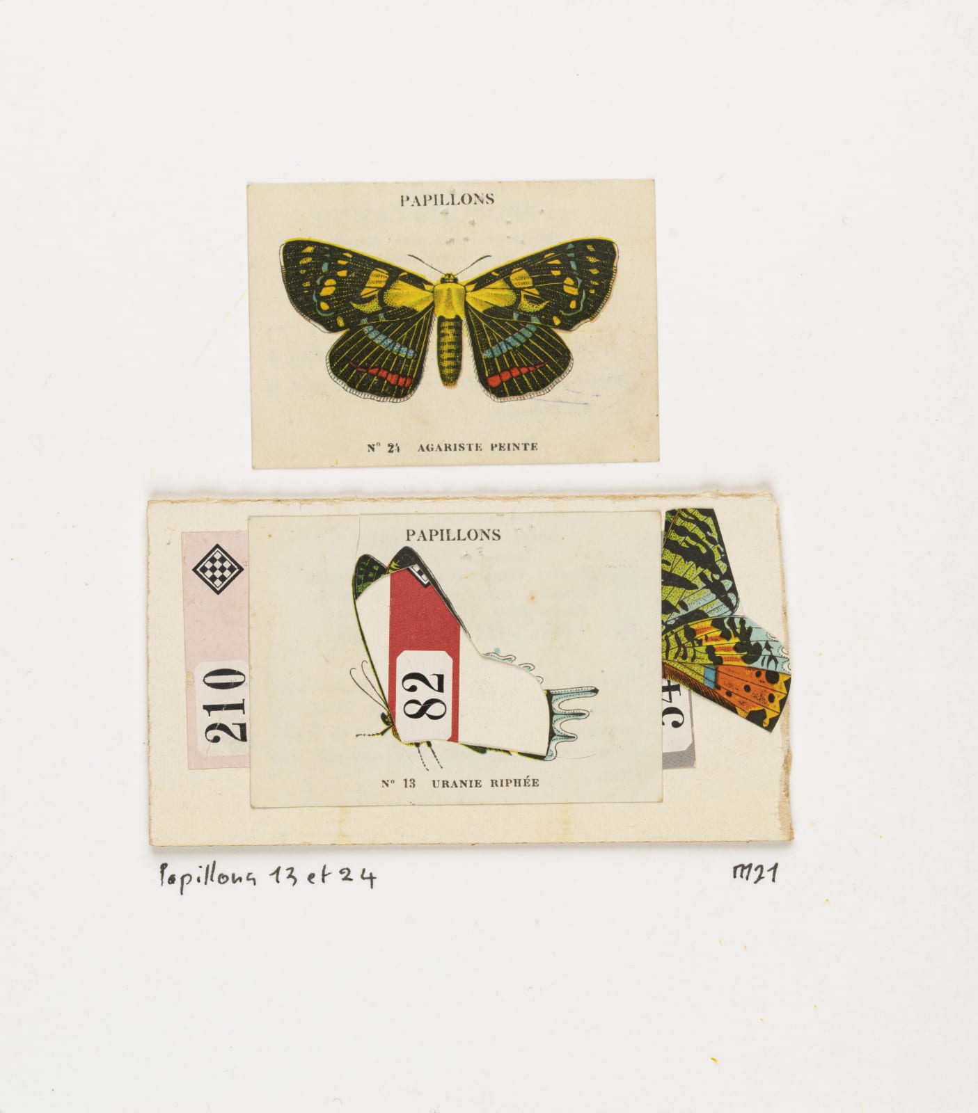 Marcel Miracle, Papillons 13 et 24, 2021