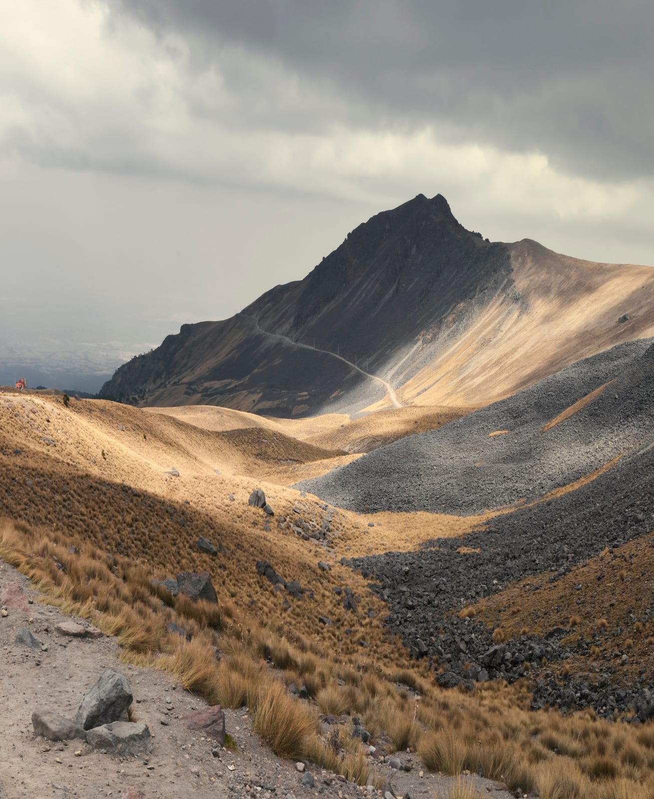 David Guarnizo, Journey to the equinoctial regions of the New Continent (Humboldt peak, Mexico), 2019