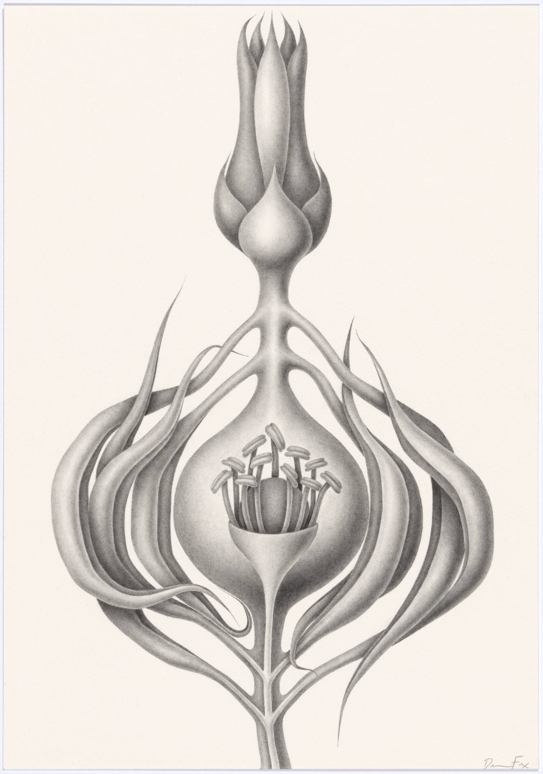 Devra Fox, Ripen, 2025