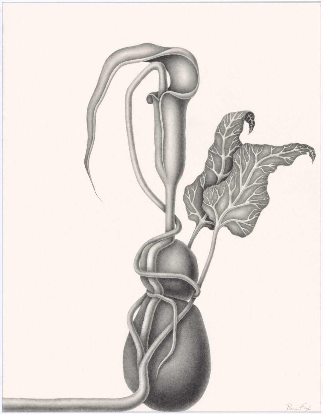 Devra Fox, Attached #1, 2025