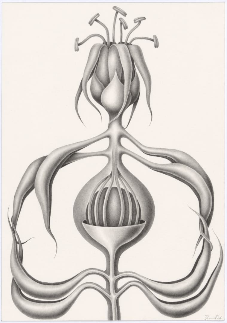 Devra Fox, Ripe, 2025