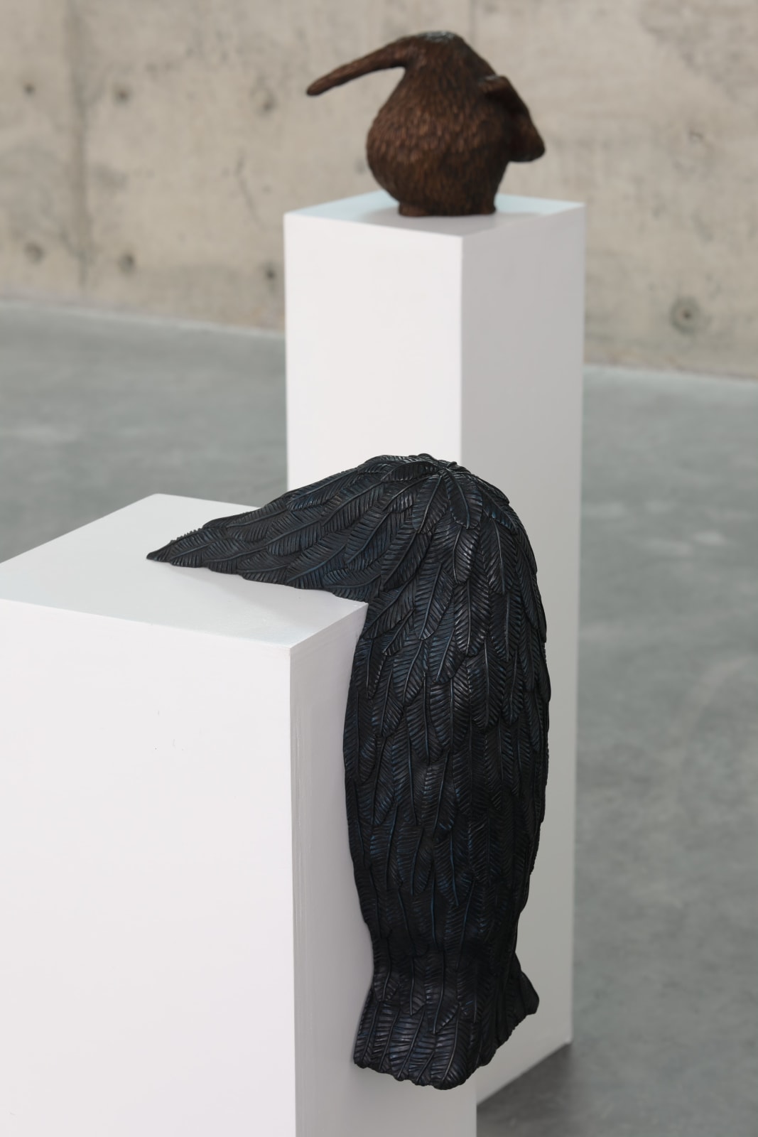 Carl D’Alvia, Hang In There, 2024