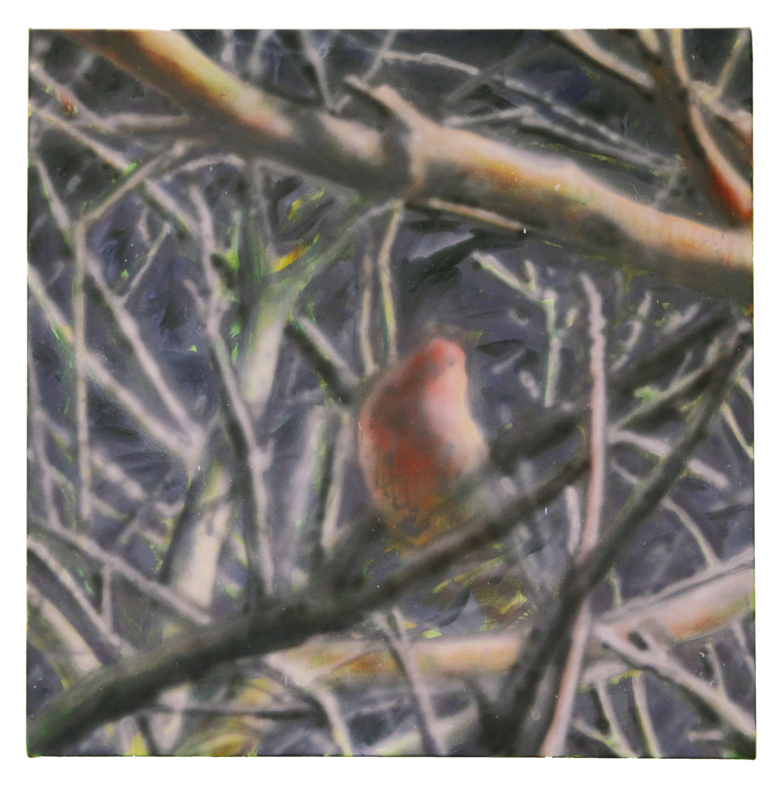 Sicheng Wang, 2020 early spring, 2020