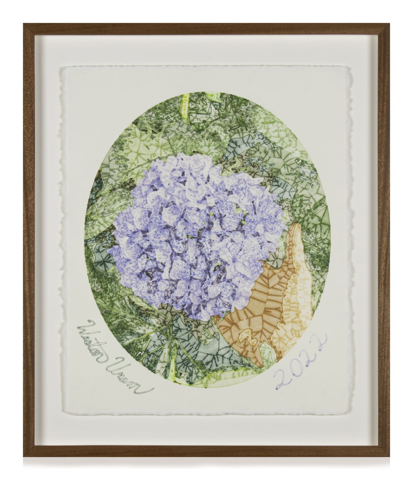 Weston Uram, Large Machine Drawing, Hydrangea, 2022