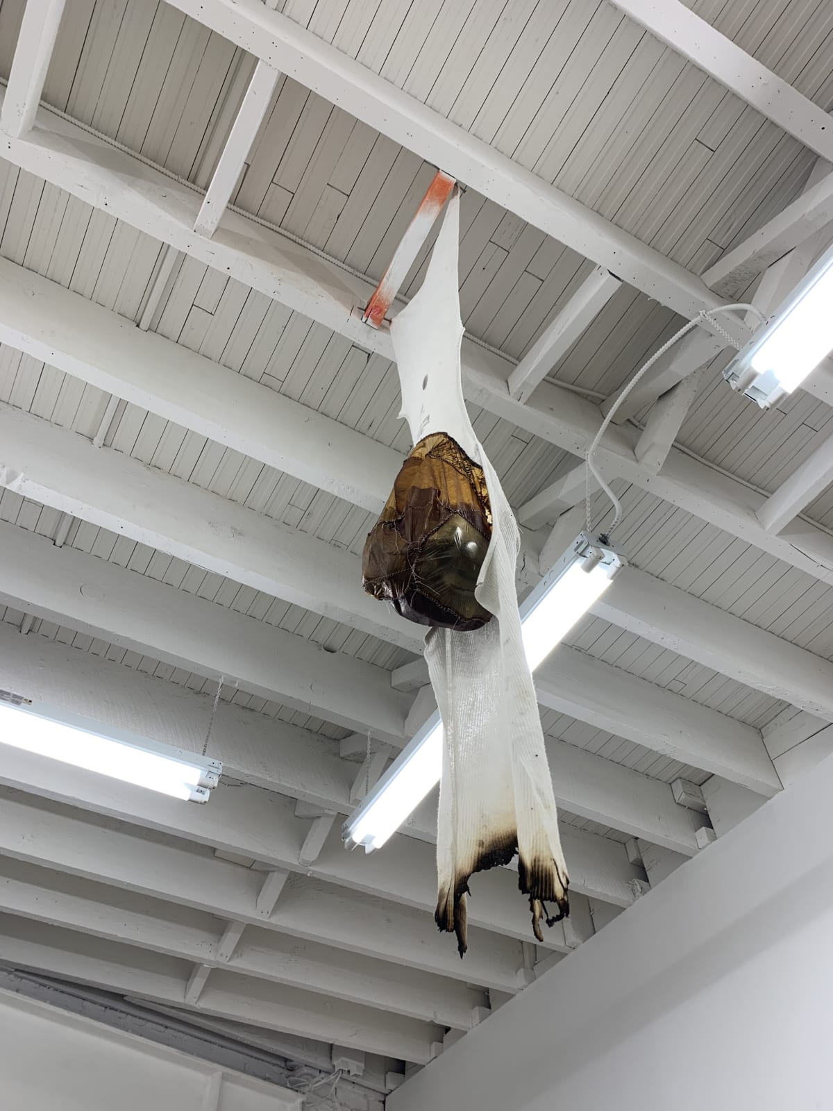 Catalina Ouyang, yoke of thyself, 2019